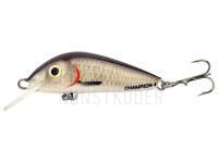 Wobbler Hunter Champion 4.2cm S - CR