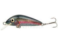 Wobbler Hunter Champion 4.2cm S - RT