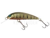 Wobbler Wob-Art Ciernik (stickleback) 5cm 2.5g F DR - 07