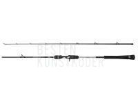Rute Penn Prevail III Jigging Cast 1.83m max 250g