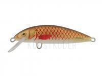 Wobbler Dorado Classic C-4 Floating BR