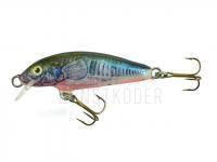 Wobbler Dorado Classic C-4 Floating CK