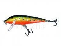 Wobbler Rapala CountDown 5cm - Brook Trout