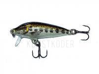 Wobbler Rapala CountDown 5cm - Muddler