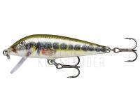 Wobbler Rapala CountDown 7cm - Live Vairon