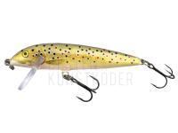 Wobbler Rapala CountDown 9cm - Brown Trout