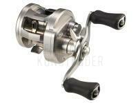 Baitcastrolle Daiwa 26 Ryoga 100PL