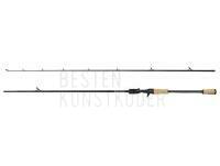 Rute Dam Intenze Casting 2.13m 10-50g