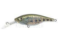 Fishtank Charlie 9 cm black & dust