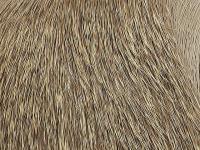 Wapsi Deer Body Hair - 227 Natural Brown