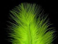 Federn Hareline Extra Select Marabou #54 Chartreuse