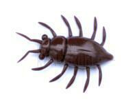 Gummifische FishUp Maybug 1.3" #074 - Green Pumpkin Seed