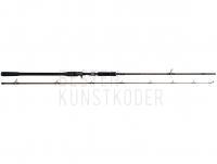 Rute W4 Powershad-T 2nd 8` 240 CM XH 30-90 G