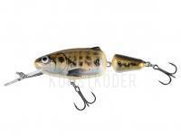 Frisky 7 DR Muted Minnow