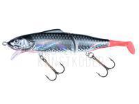 Wobbler Jaxon Gerit 11cm + 3cm F color SC