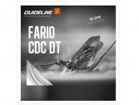 Fliegenschnüre Guideline Fario CDC DT2F Pale Grayish Green 25 m / 82 ft - #2 Float