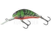 Salmo Hornet H3F   RVC River Craw