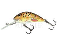 Salmo Hornet H6F   T