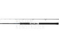 Rute Shimano Salty Advance Spinning 3.05m 10'0" Shore JIG100g 2pc