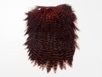 Hareline Dubbin Hen Saddle - 178 Grizzly Dyed Brown