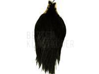 Balg Keough Tyer`s Grade Cape - Black