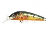 Krakusek NR.1 4cm Floating - P