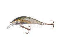 Wobbler Krakusek NR.5 floating - T
