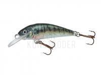 Wobbler Krakusek NR.6 4,5cm neutral - PP