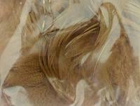 Mallard Duck Drake Grey Flank Large 5-8cm - March Brown