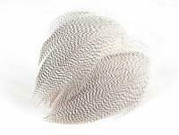 Mallard Duck Drake Grey Flank Large 5-8cm - NATURAL