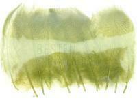 Mallard Duck Drake Grey Flank Medium 4-5cm - Olive / Black