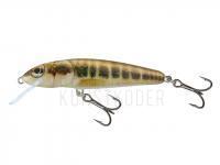 Wobbler Salmo Minnow M5F - Minnow