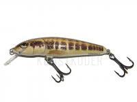 Wobbler Salmo Minnow M7F - Minnow