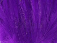 Neck Hackle Strung - purple