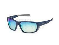 Solano Polarized Sunglasses FL 20077 - E