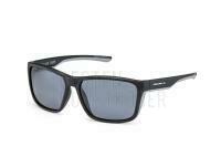 Solano Polarized Sunglasses FL 20078 - B