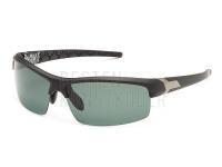 Polarized Sunglasses FL20007D
