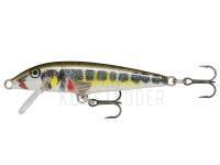 Wobbler Rapala Original Floater 5cm - Live Vairon