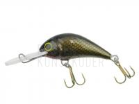Wobbler Gloog Parys 40NF - B