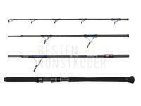 Rute Penn Overseas XT II Popping 2.50m 80-220g