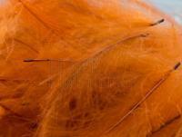 Federn FMFly Goose CDC 1G - Dyed Rusty
