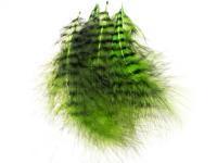 Feather Grizzly Marabou - Chartreuse/Black