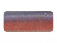 Gummiköder Tiemco PDL Locoism Black Out Craw 4 inch | Shrimp Flavor - 002