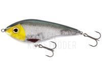 Jerkbait Westin Swim Glidebait 10cm 31g Low Floating - 3D Headlight