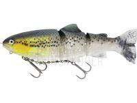 Köder Westin Tommy the Trout Inline 25cm 195g - Headlight Deluxe Trout