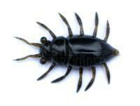 Gummifische FishUp Maybug 1.3" #043 - Watermelon Brown/Black