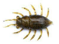 Gummifische FishUp Maybug 1.3" #074 - Green Pumpkin Seed