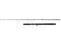 Rute Savage Gear Defiance SG2 Jigging Cast 1.80m max 250g