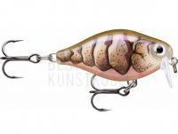 Wobbler Rapala X-Light Crank Shallow Runner 3.5cm - Purple Prawn UV