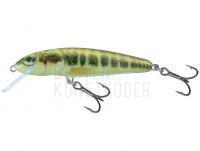 Wobbler Salmo Minnow M6S 6cm - Minnow